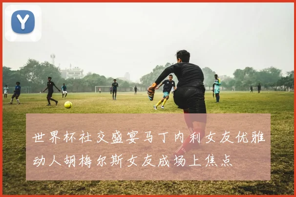 世界杯社交盛宴马丁内利女友优雅动人胡梅尔斯女友成场上焦点